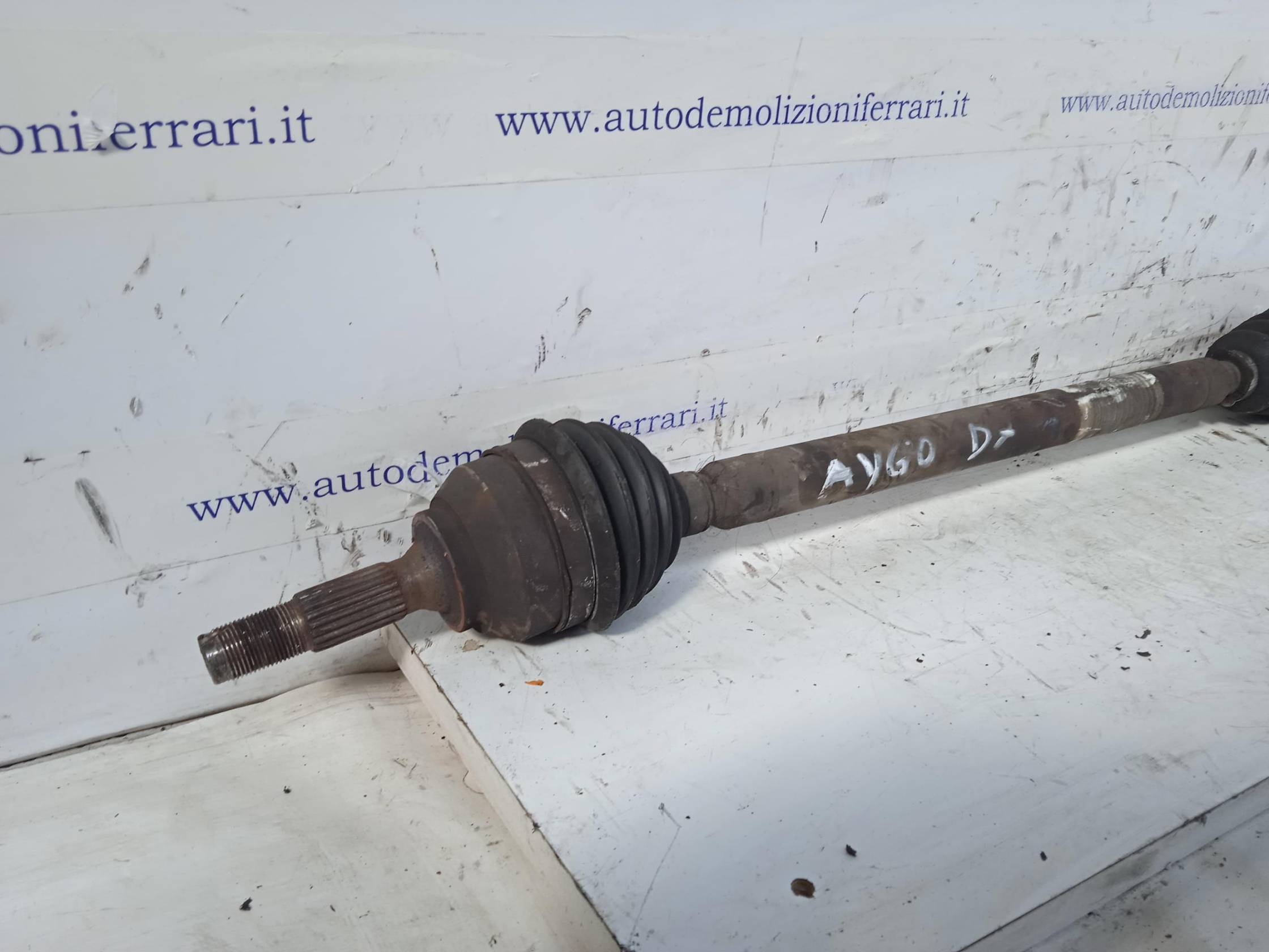 Semialbero ant. compl. dx.